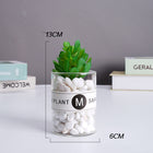 SPECUS Grove Desk Plant 14