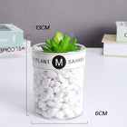 SPECUS Grove Desk Plant 9