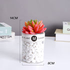 SPECUS Grove Desk Plant 5
