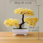 SPECUS Zen Bonsai 4