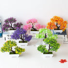 SPECUS Zen Bonsai 2