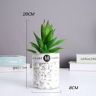 SPECUS Grove Desk Plant 17