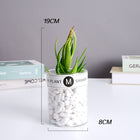 SPECUS Grove Desk Plant 4