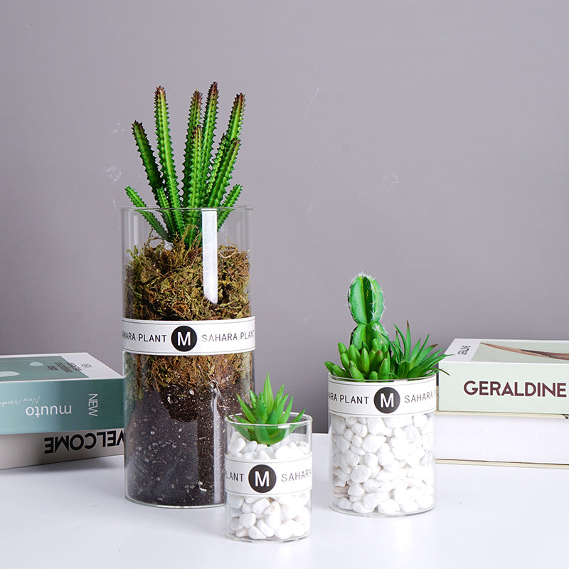 SPECUS Grove Desk Plant
