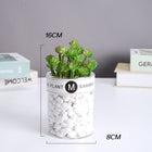 SPECUS Grove Desk Plant 16
