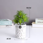 SPECUS Grove Desk Plant 8