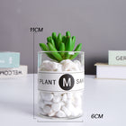 SPECUS Grove Desk Plant 11