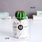 SPECUS Grove Desk Plant 12