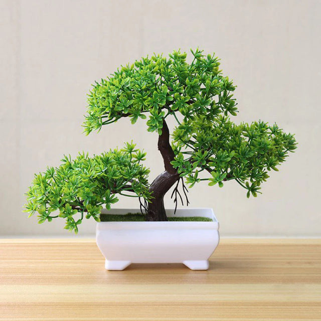 SPECUS Zen Bonsai