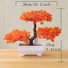SPECUS Zen Bonsai 3