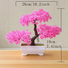 SPECUS Zen Bonsai 9