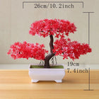 SPECUS Zen Bonsai 5